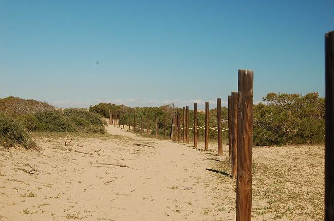 Apartamento Pinada Beach- La Mata لا ماتا المظهر الخارجي الصورة